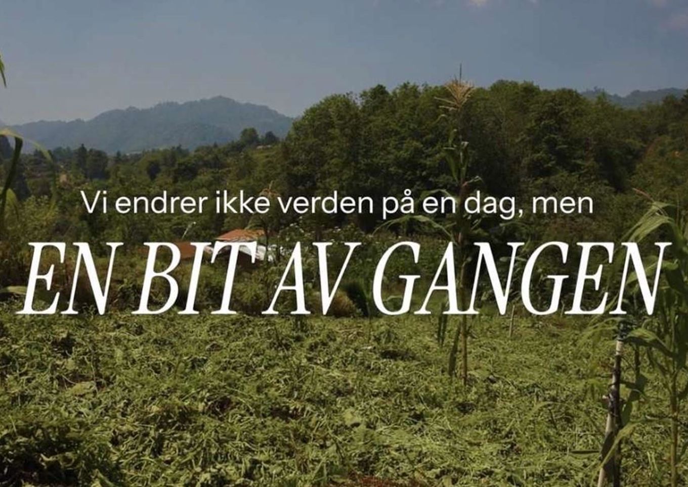Et felt med trær i bakgrunnen