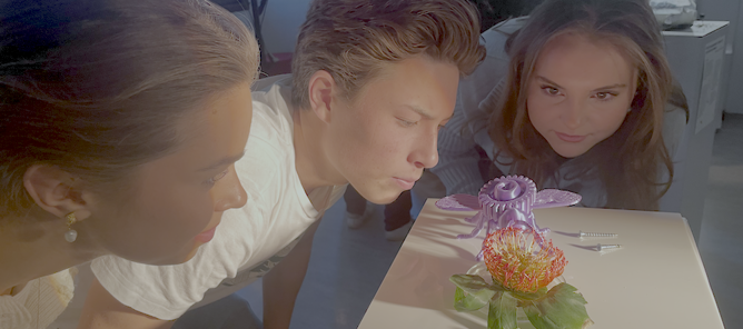 en person og en person som ser på en kake en person og en person som ser på en kake