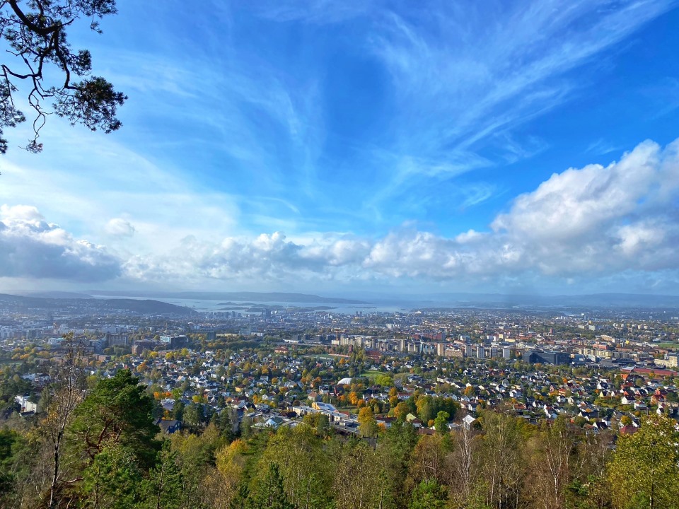 Byutsikt med fjord og skog under blå himmel.